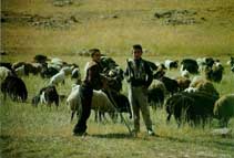 nomads iran