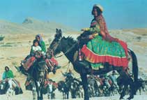 Nomads Iran qashqaee