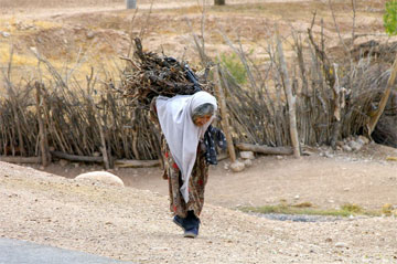 bavanat_shiraz_iran1