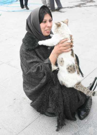 cat-iran_tehran