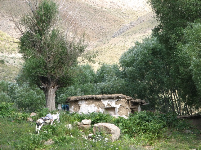 firuz_kuh_tehran
