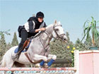 horse_iran_sport-woman