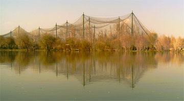 isfahan_birds_garden