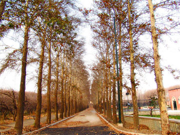 karaj_iran