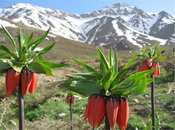 khonsar_isfahan-iran
