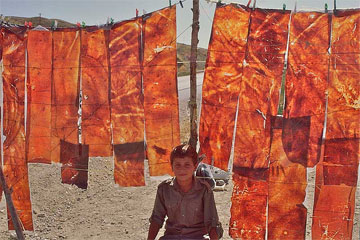 khorasan_iran_mashhah