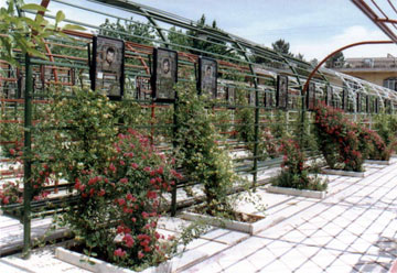 martyers_shohada_cemetry1
