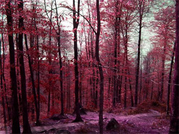 mazandaran-iran