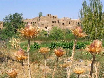 natanz-iran