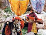 nomads iran