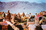 qashqae tribe nomds iran