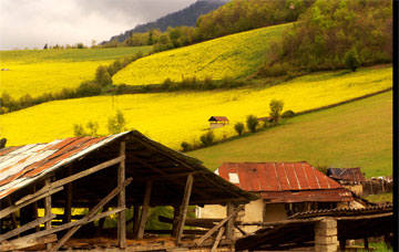 sary-iran