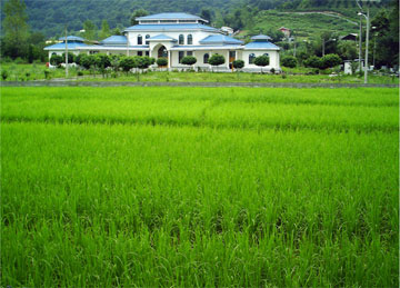 savad_koh_iran_shomal