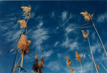 tabriz_nature_iran