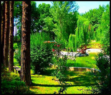 tehran_park