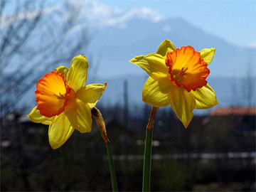 tonekabon_iran