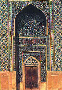 iran mosquie